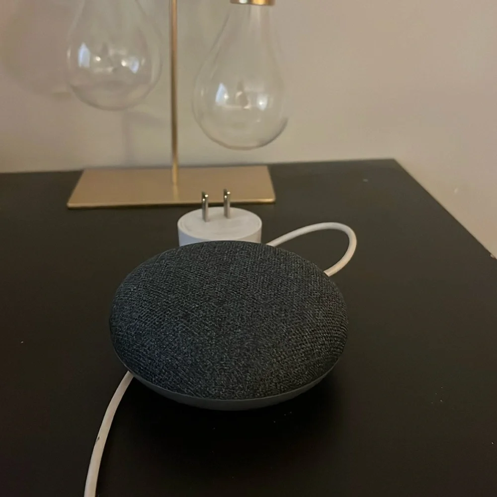 Google Speaker (Never Been Used)